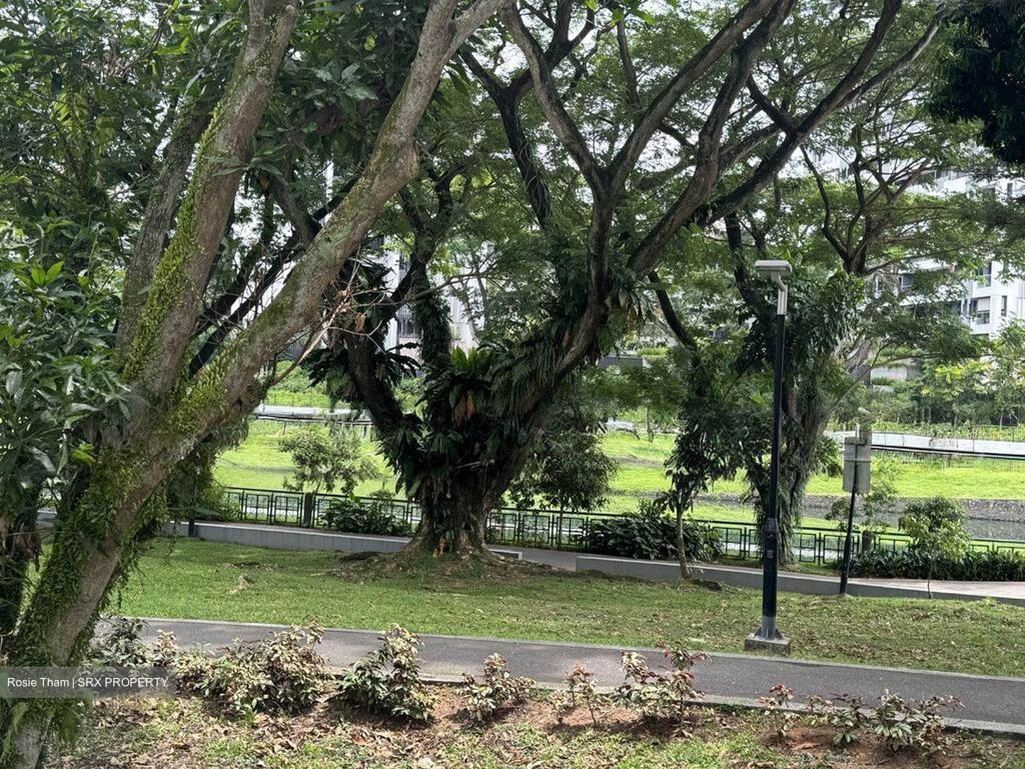 Blk 113 Potong Pasir Avenue 1 (Toa Payoh), HDB 4 Rooms #497347591